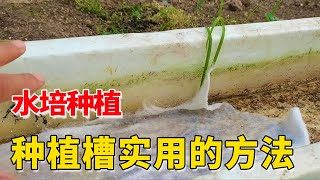 想做水培种植，我们做种植槽的方法，省钱又实用【付老师种植技术团队】