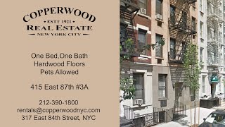 415 EAST 87 Apt 3A