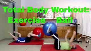 Total Body Exercise Ball Workout Routine (Beginner to Advanced for PhysioBall, Swiss Ball, ETC.)