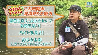 第90回 DeepWave 「やまけんイチオシ！春の渓流釣り」渓流の魅力・釣りの魅力・お得で便利な遊漁券情報も！