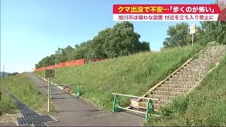 「川の中州にクマのような動物が」市民通報…旭川駅や買物公園近くの中心部 \