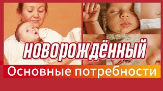 Основные потребности новорожденного, что должны уметь родители, уход и развитие ребенка