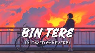 Bin Tere ( Slowed & Reverb ) | Khoka 420 | Dev | Bengali Lofi