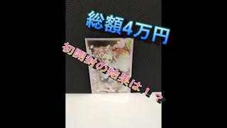 【遊戯王】皆さんメシウマですよ！総額4万円のオリパ開封の結果は！？　【オリパ】　yugioh