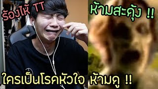 ห้ามสะดุ้งงง | ใครเป็นโรคหัวใจ ห้ามดู !!