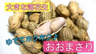 【レシピ】生おおまさり（落花生）のゆで方