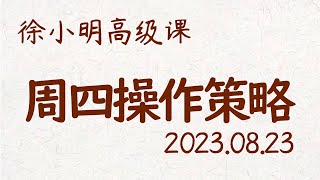 徐小明周四操作策略 | A股2023.08.23大盘指数盘后行情分析 | 徐小明高级网络培训课程 | 每日收评 #徐小明 #技术面分析 #定量结构 #交易师