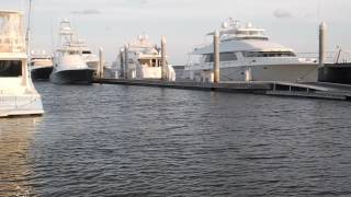 Charleston Tides