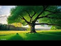 tranquility awaits 🌳 relaxing lofi vibes to chill heal and reflect