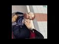 Hyoyeon's dog Barbara IG video 3/6/20 barbara_venus_