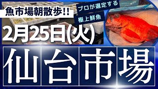 【今朝の魚市場】2025年2月25日