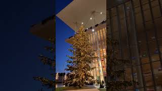 Athens #athens #greece #christmas #tree #newyear #decoration #snfcc #travel #χριστούγεννα #αθήνα