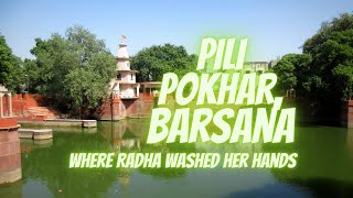 Pili Pokhar, Barsana - Where Radharani washed her hands | Priya Kunda | Vraja Mandala