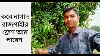 রাজশাহীর কেমিক্যাল মুক্ত গোপালভোগ আম | pure Mango Rajshahi | Mango sale