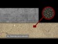 Animation of expansive soils