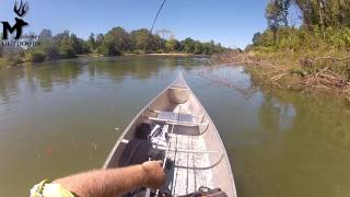 Gasconade River Largemouth