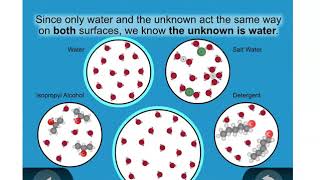 Fifth Grade Lesson 2.2 Identifying an Unknown Liquid