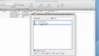 Video 9 - Scripts - The Basics