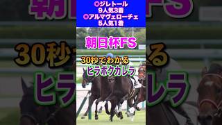 【朝日杯FS2024】30秒でわかるヒラボクカレラ