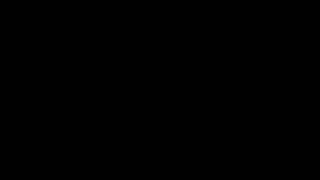 cultivar of the European beech tree - Fagus sylvatica f  laciniata