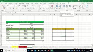 Havron eLearning Hub Excel_Worksheet Basics 2