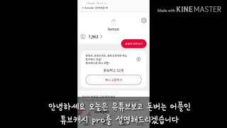 유튜브 보고 돈벌기 개꿀(튜브캐시pro)