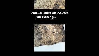 Purolite PuroSorb PAD610 ion exchange resin Antibody recovery