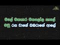 mal loke maha brunga rajaya karaoke without voice මල් ලෝකේ මහා බෘංග රාජයා කැරෝකේ