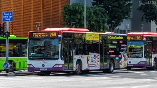 [SBST] Mercedes-Benz O530 Citaro (Batch 3) - SG1095H on Service 269