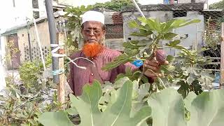 আমার শ্রদ্ধেয় ছোট বেলার শিক্ষক  আমার ছাদ বাগানে আগমন। #mohidul Islam Roof Garden