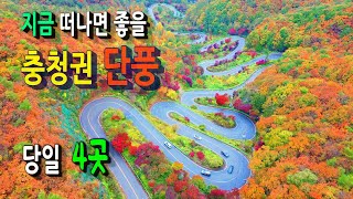 보은 여행 명소ㅣ말티재,  법주사, 세조길, 그리고 청남대