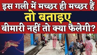 Firozabad की इस गली में मच्छर ही मच्छर हैं , तो बताइए बीमारी नहीं तो क्या फैलेगी?