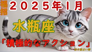 招き猫占い師の星空メッセージ「積極的なアクション」【2025年1月みずがめ座の年運勢】