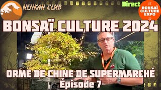 8 ans après voici l'Évolution de l'Orme de Supermarché ! 🟢 NEJIKAN CLUB 🟢