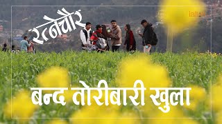 सामाजिक सञ्जालमा भाइरल तोरी बारी। Mygadi Viral Toribari