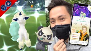 ARタスクでガラルポニータの色違いいいいいい！！！！！ヤンチャムはレイドで実装！！【ポケモンGO】