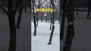 대구도시 눈멋집니다         ⛄️