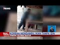 Aksi Oknum Polisi Pukul Emak-emak di Pinrang, Sulawesi Selatan #iNewsSiang 18/09