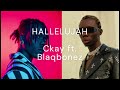 Hallelujah - Ckay ft.Blaqbonez (Instrumental)