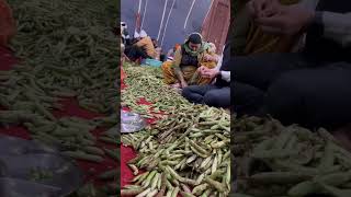 How langar is prepared  in Golden Temple🙏 |Amritsar #langar #freefood #seva #amritsar #gurudwara