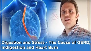 Digestion and Stress - The Cause of GERD, Indigestion and Heart Burn