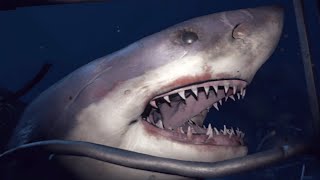 SHARK ATTACK!!! - Playstation VR Worlds