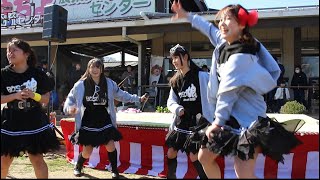 【ご当地アイドル】BOSO娘八千代市千本桜祭り野外ステージ2024033【JC】