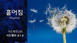 흩어짐_사도행전 8:1-8_김정민 목사 [소망교회 금요기도회]