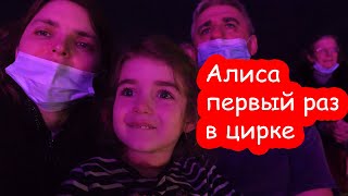 Украинцев отель отвёл в испанский цирк. Алиса впервые в цирке