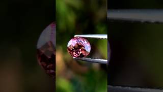 1.40ct 100%Clean Unheated Natural Oval Pink Tourmaline Mozambique