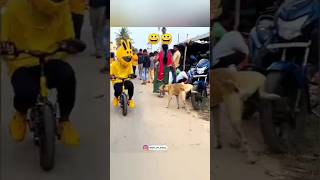 Dog reaction🐕#shorts #video #tranding