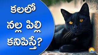 కలలో నల్ల పిల్లి కనిపిస్తే ? || What does it mean when you have a Dream about a Black cat?