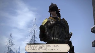 FF14　合同演習　ラウバーン戦