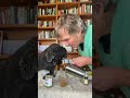 Awesome Dog Asthma Remedy!